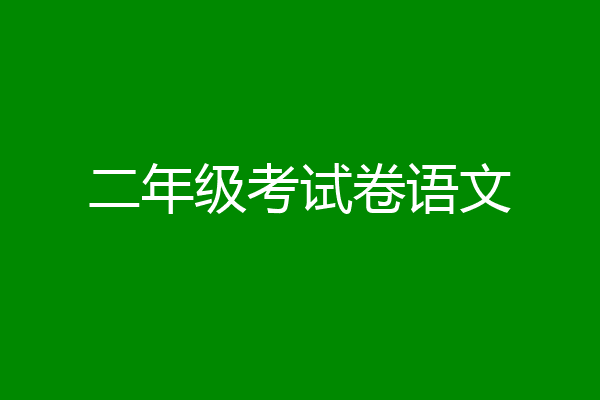二年级考试卷语文