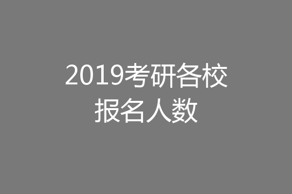 2019考研各校报名人数
