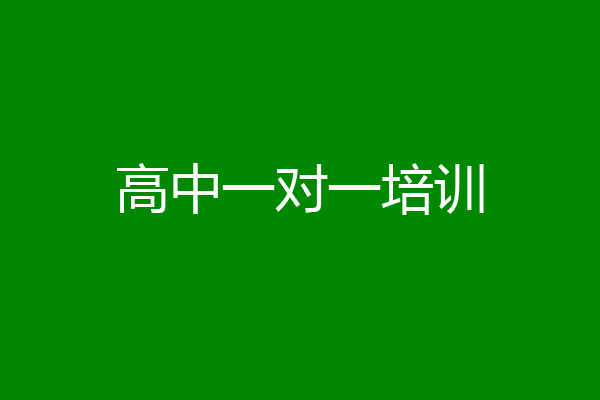 高中一对一培训