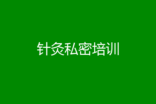 针灸私密培训