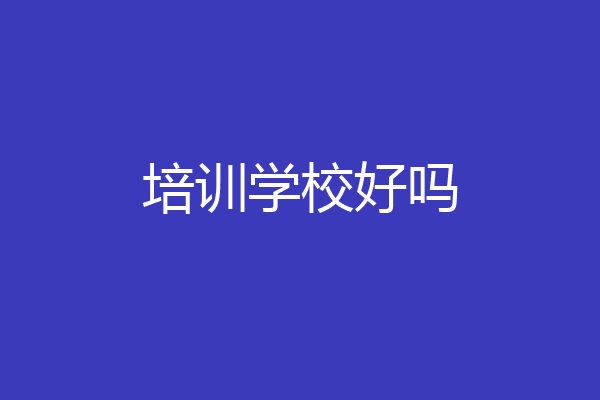 培训学校好吗