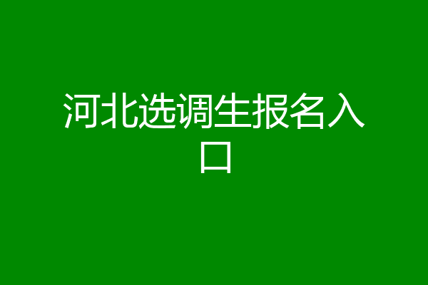 河北选调生报名入口