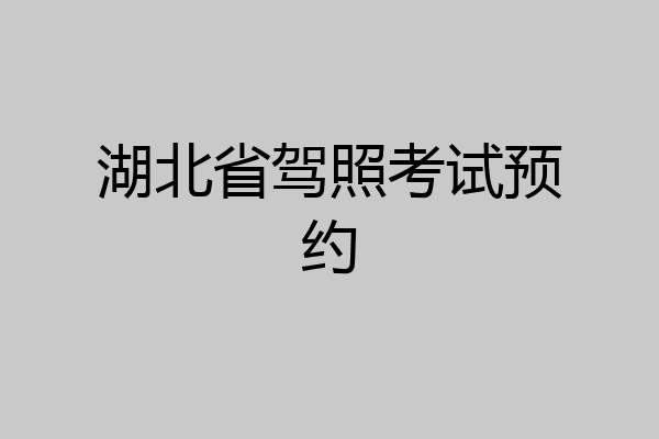 湖北省驾照考试预约