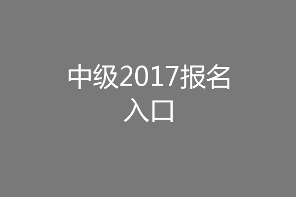 中级2017报名入口