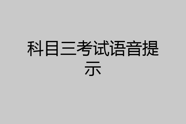 科目三考试语音提示