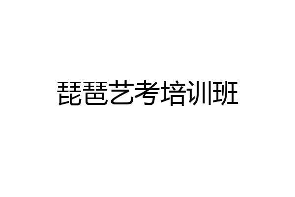 琵琶艺考培训班