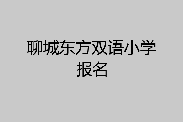 聊城东方双语小学报名