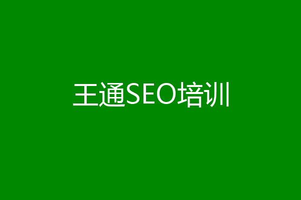 王通SEO培训
