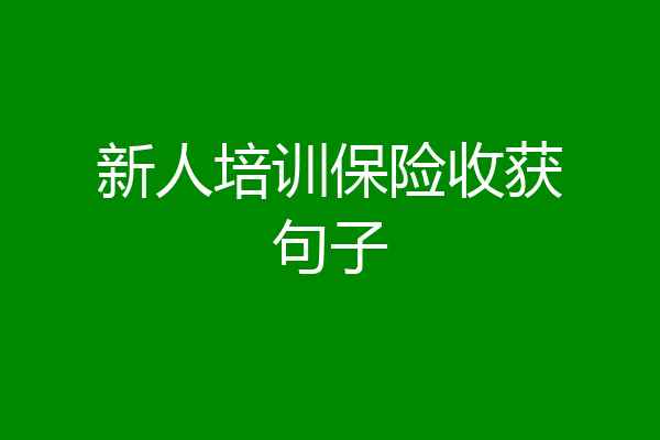 新人培训保险收获句子