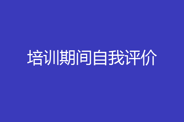 培训期间自我评价