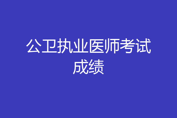 公卫执业医师考试成绩