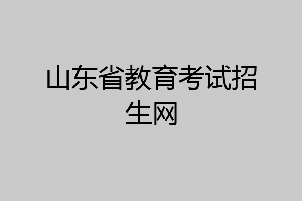 山东省教育考试招生网