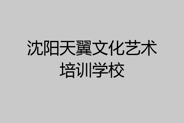 沈阳天翼文化艺术培训学校