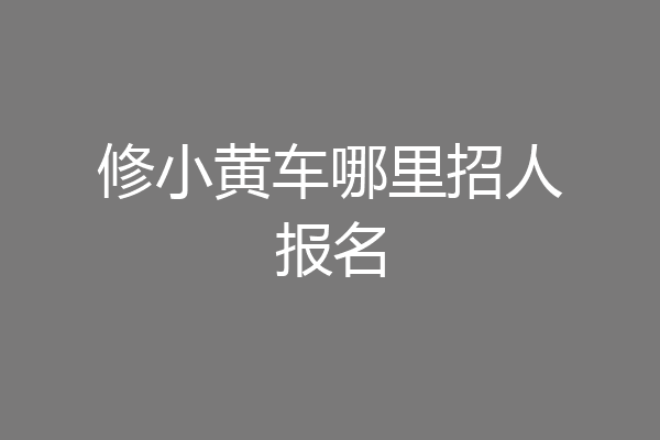 修小黄车哪里招人报名