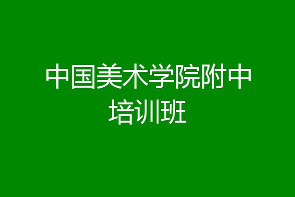 中国美术学院附中培训班
