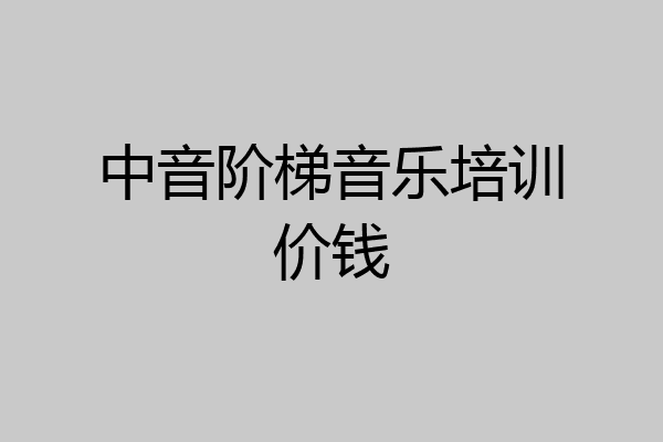 中音阶梯音乐培训价钱