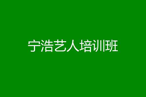 宁浩艺人培训班