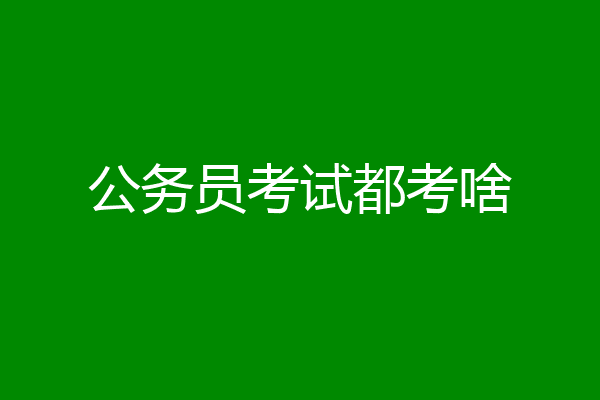 公务员考试都考啥