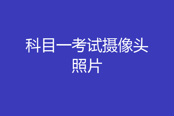 科目一考试摄像头照片