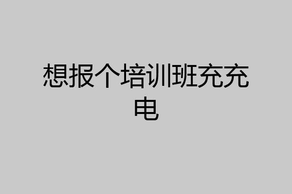 想报个培训班充充电