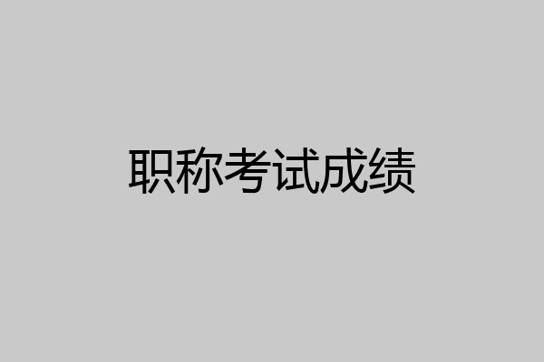 职称考试成绩