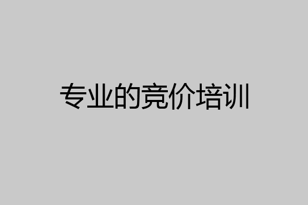 专业的竞价培训