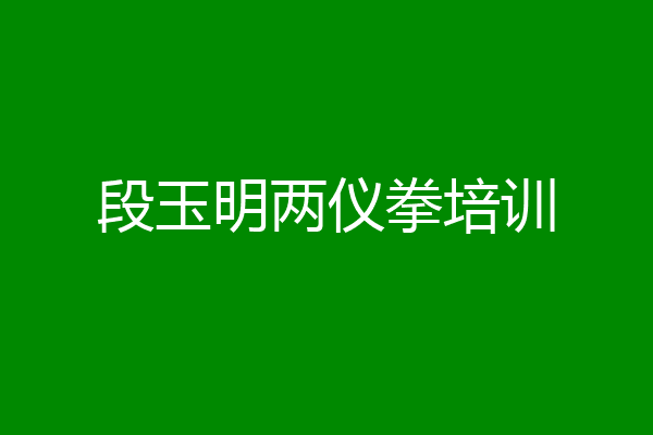 段玉明两仪拳培训