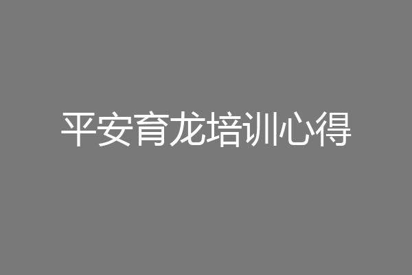 平安育龙培训心得