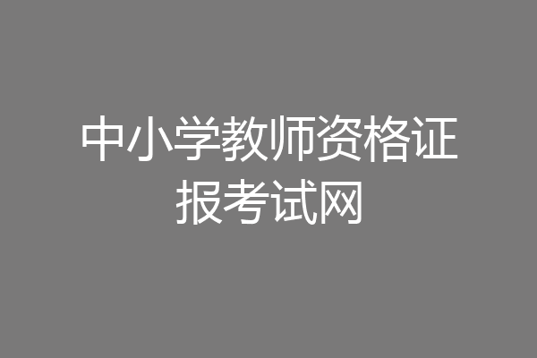 中小学教师资格证报考试网