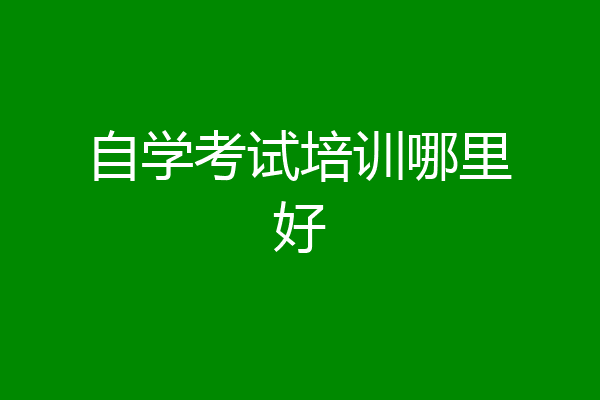 自学考试培训哪里好