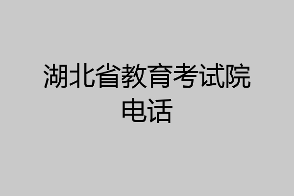 湖北省教育考试院电话