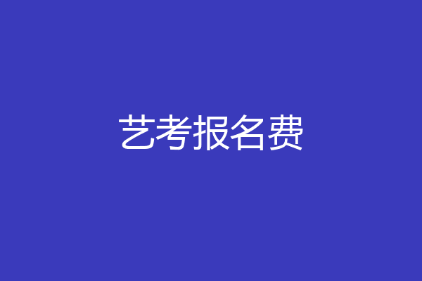 艺考报名费