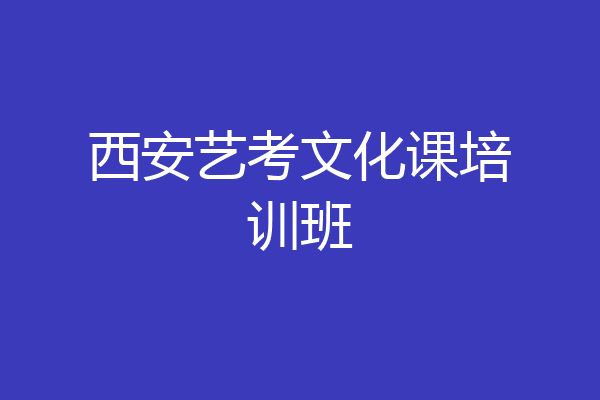 西安艺考文化课培训班