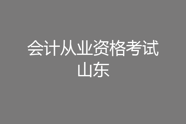 会计从业资格考试山东