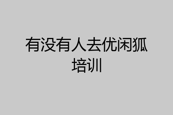 有没有人去优闲狐培训