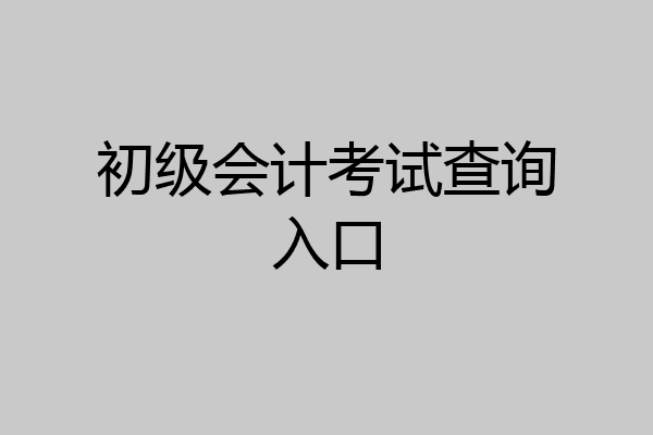 初级会计考试查询入口
