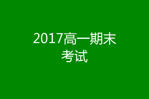 2017高一期末考试
