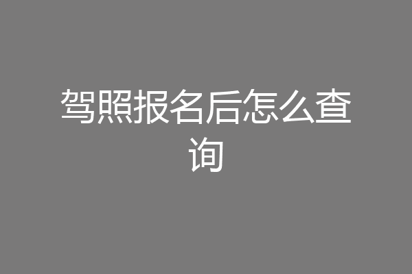 驾照报名后怎么查询