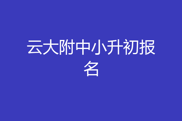 云大附中小升初报名