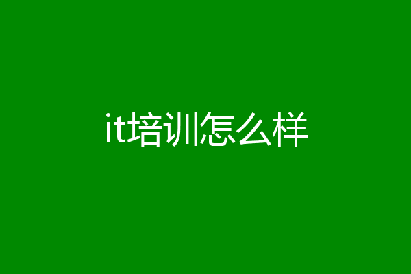 it培训怎么样