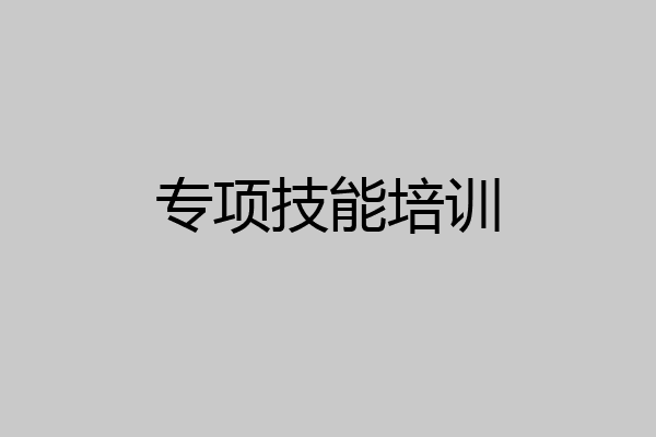 专项技能培训