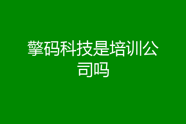 擎码科技是培训公司吗
