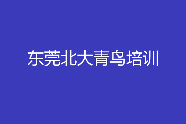 东莞北大青鸟培训