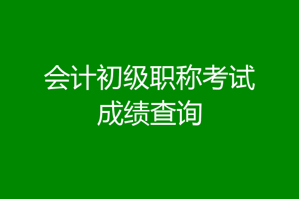 会计初级职称考试成绩查询