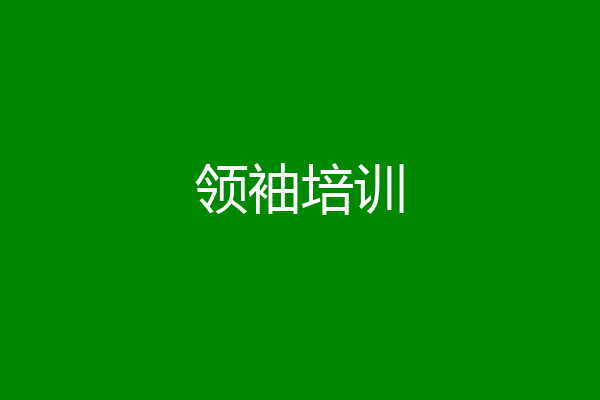 领袖培训