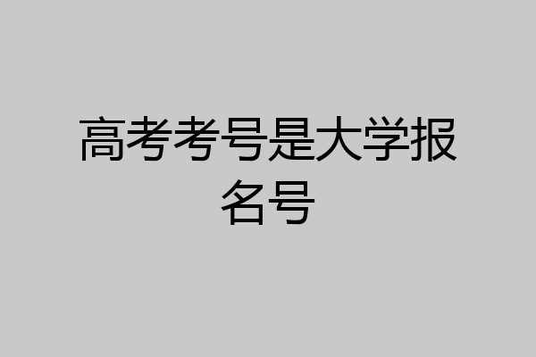 高考考号是大学报名号