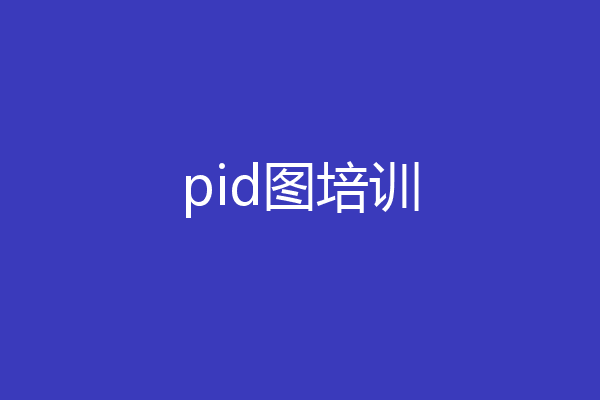 pid图培训