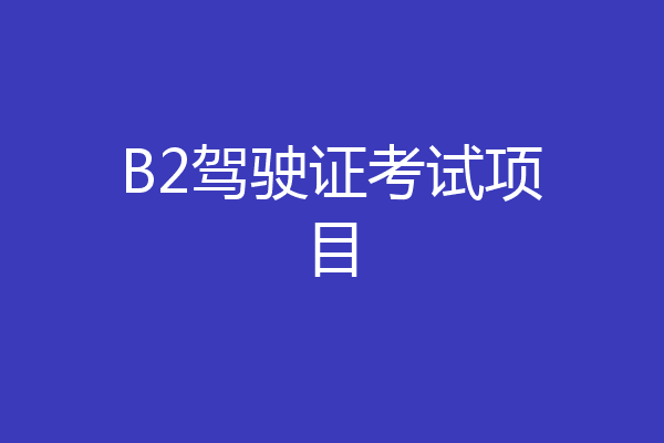 B2驾驶证考试项目