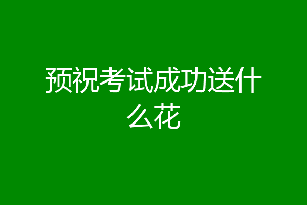预祝考试成功送什么花