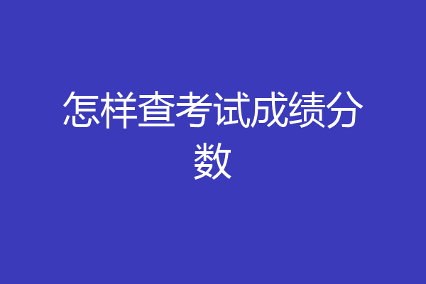 怎样查考试成绩分数
